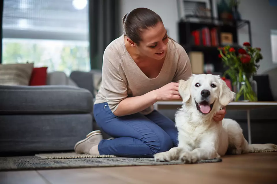 ویژگی بکش توربو: برای تمیزکردن موهای (حیوانات خانگی) و تار و پود جاروبرقی فیلیپس مدل FC9170/01